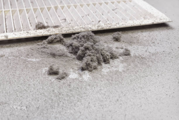 Best Local Air Duct Cleaning Services  in Cullman, AL