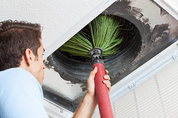 Best Affordable Air Duct Cleaning  in Cullman, AL